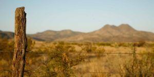 Reata Restaurant - CF Ranch